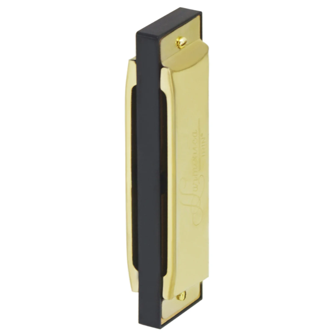 IRIN Harmonica 10 Hole 20 Tone - Harmonica 10 Hole 리뷰 및 가격
