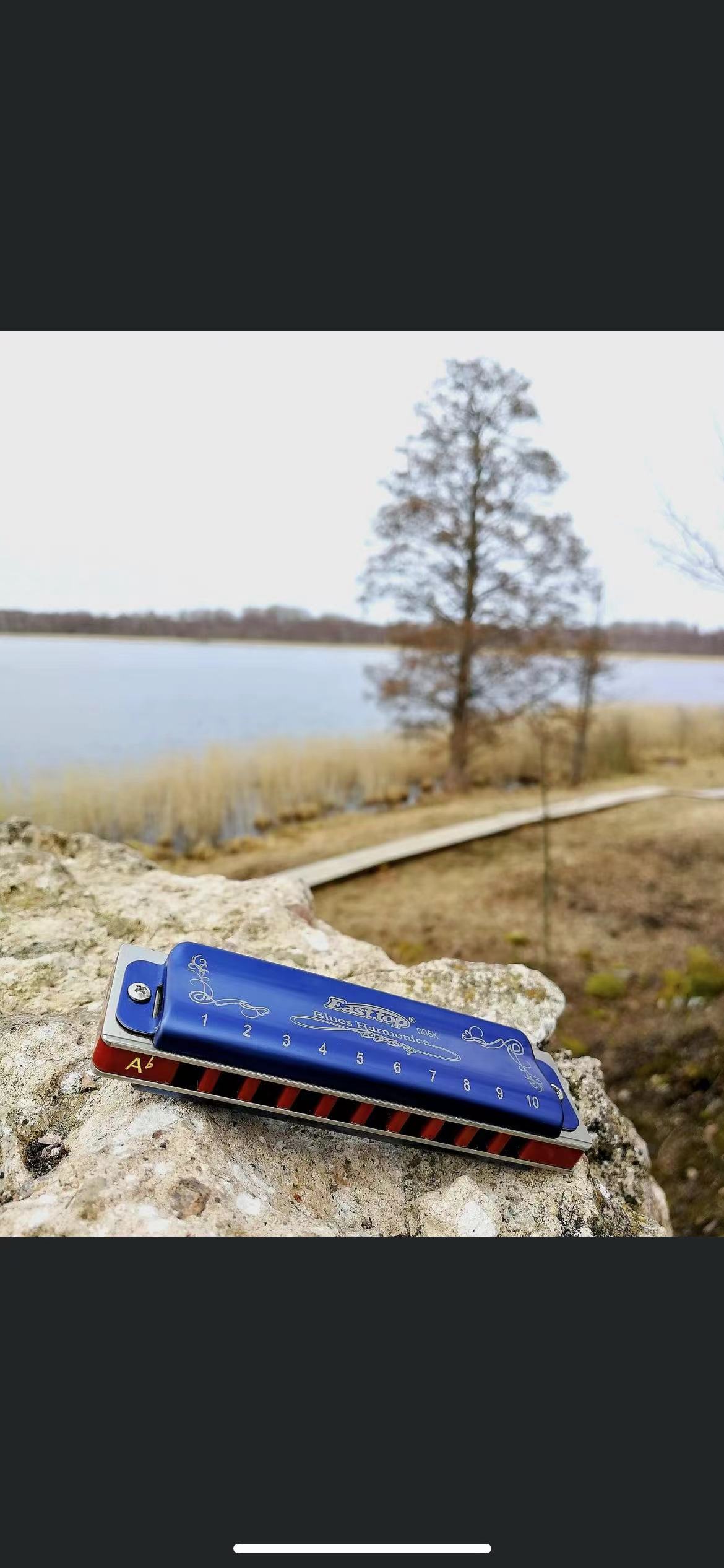 EASTTOP T008K key of A New blu - Harmonica 10 Hole 리뷰 및 가격