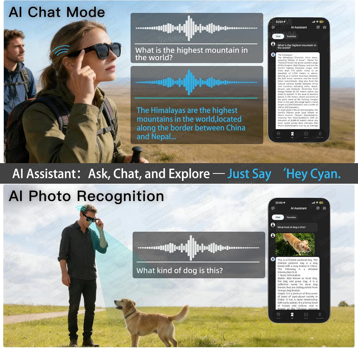 New Smart AI Glasses with 800W - Audio Music Video 리뷰 및 가격