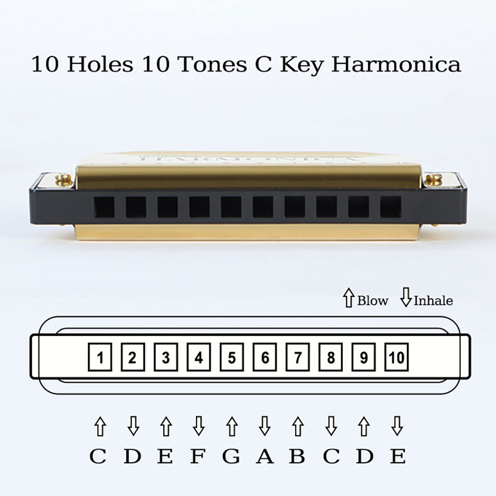 10 Hole C Harmonica Blues Harp - Harmonica 10 Hole 리뷰 및 가격