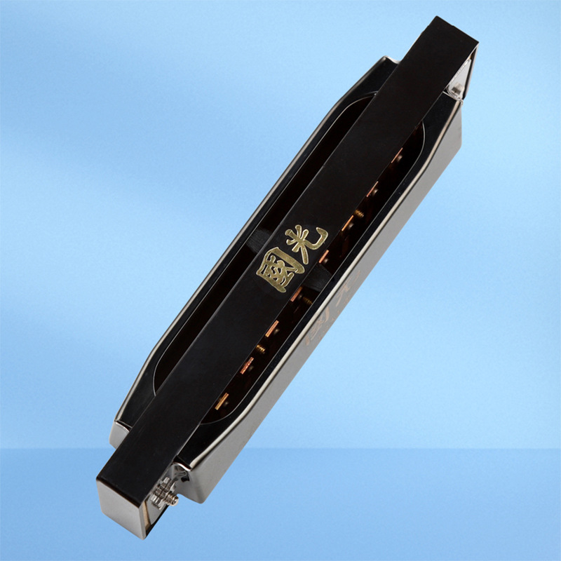 Blues Harmonica 10-hole C Key  - Harmonica 10 Hole 리뷰 및 가격