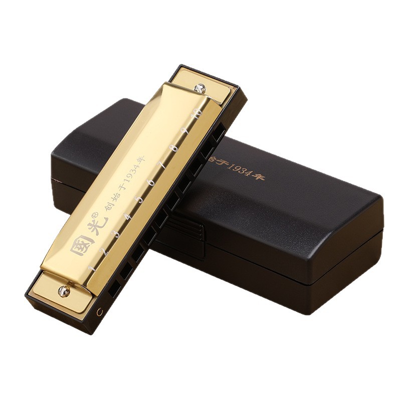 Blues Harmonica 10-hole C Key  - Harmonica 10 Hole 리뷰 및 가격