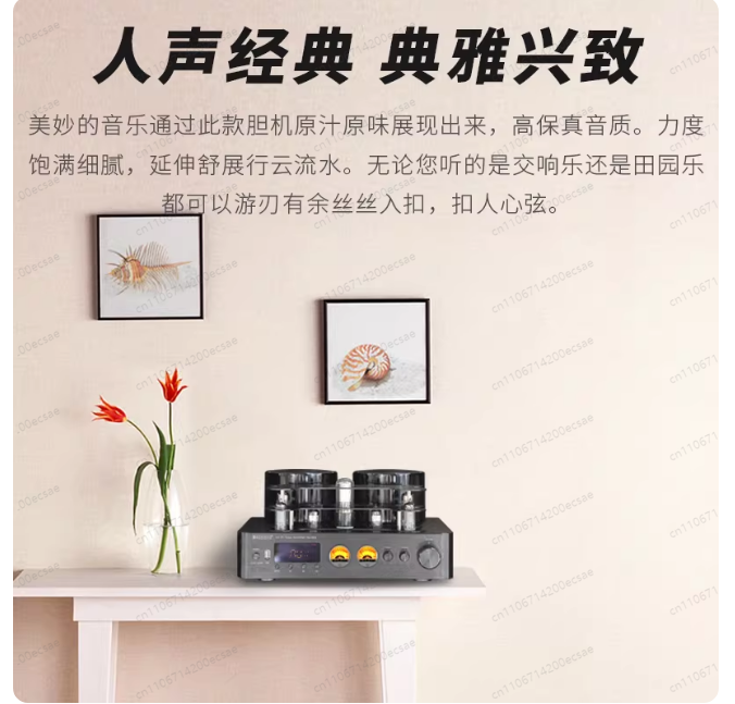 220V 400W * 2 High Fidelity Wi - Audio Youtube Music Free 리뷰 및 가격