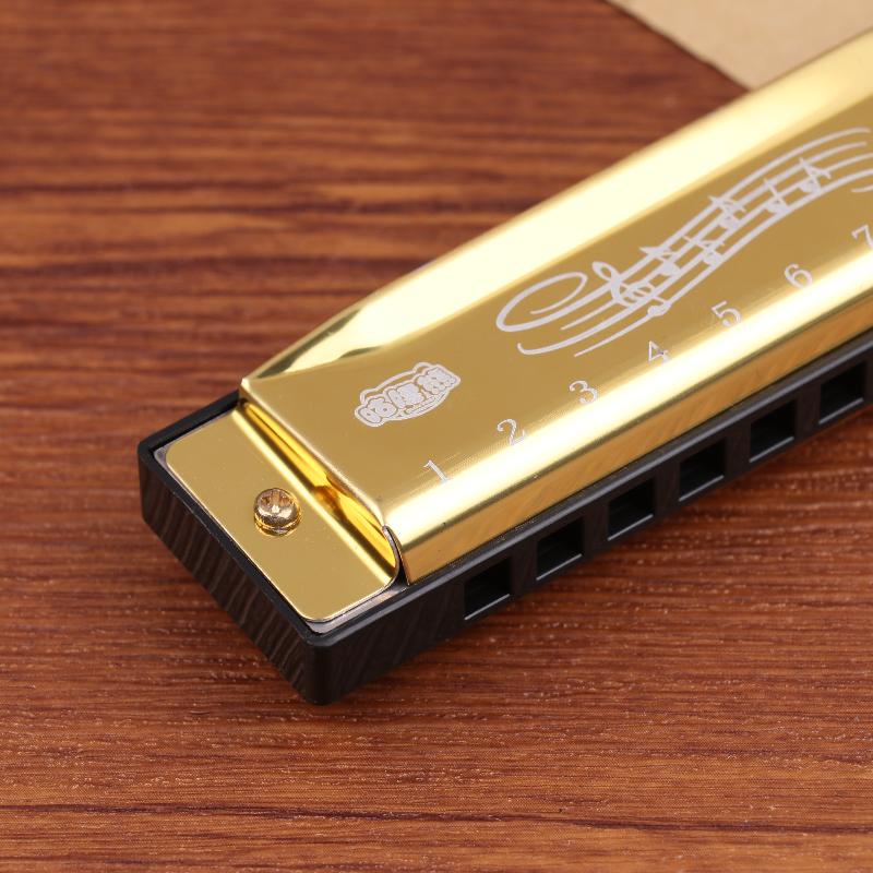 Metal Harmonica for Kids Begin - Harmonica 10 Hole 리뷰 및 가격