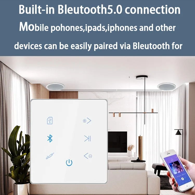 Bluetooth Wall Amplifier Home  - Audio Music Generator 리뷰 및 가격