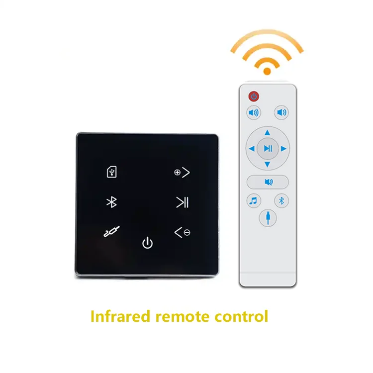 Bluetooth Wall Amplifier Home  - Audio Music Generator 리뷰 및 가격