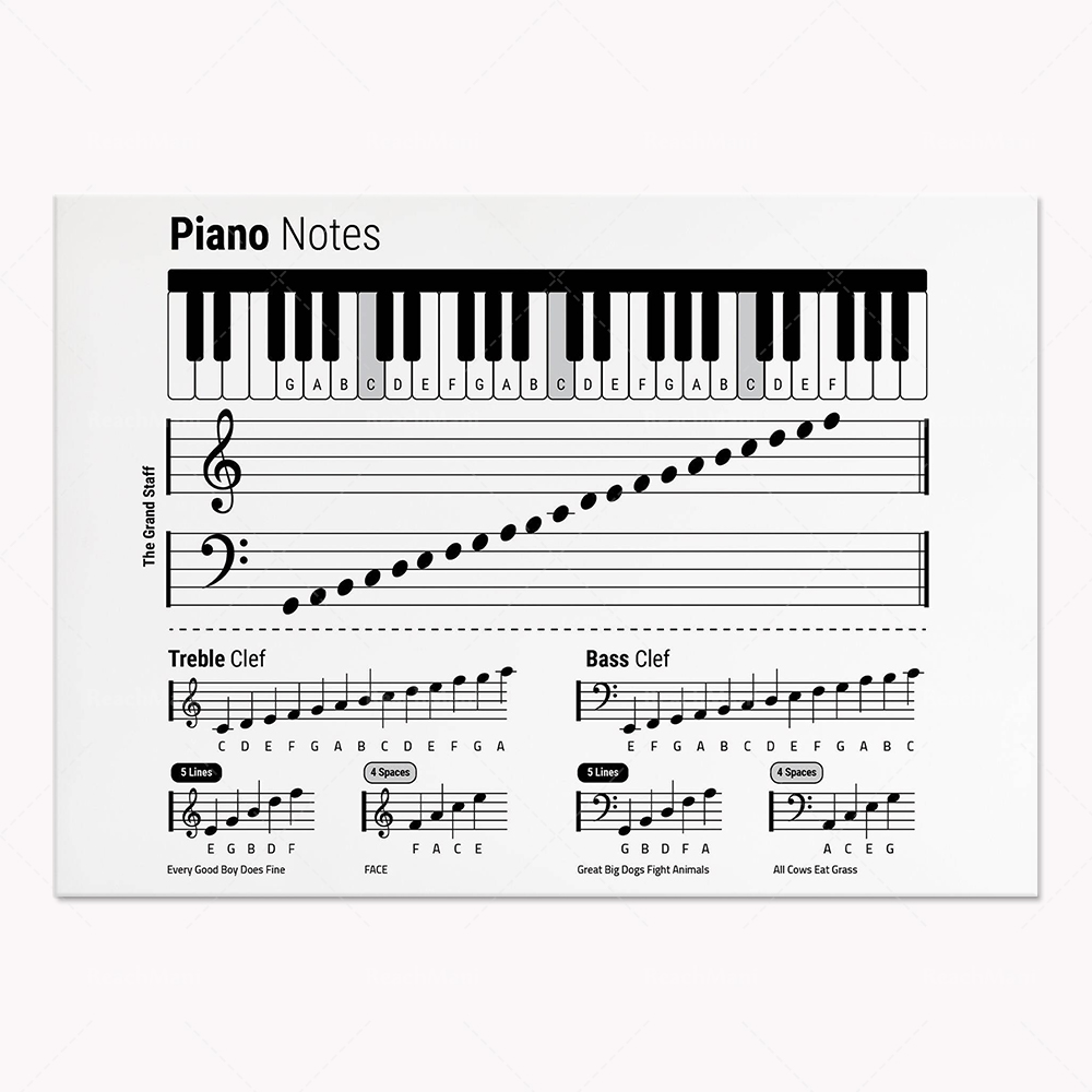 Guitar theory, piano, audio sp - Audio Into Music Sheet 리뷰 및 가격