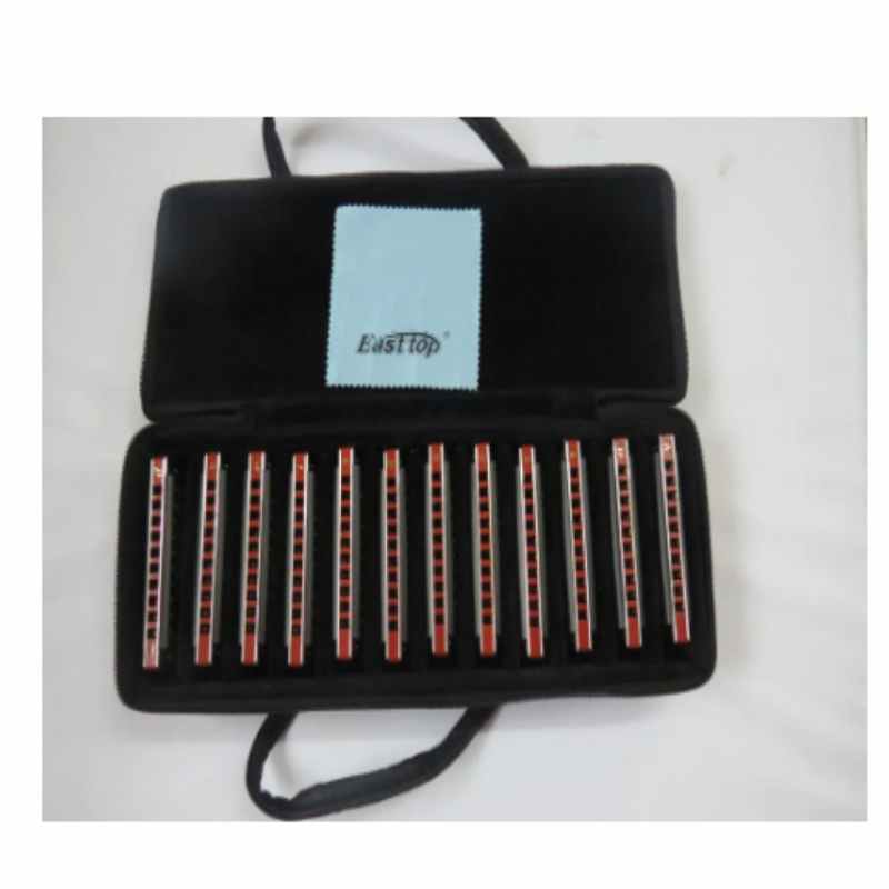 EASTTOP  blues harp mouth orga - Harmonica 10 Hole 리뷰 및 가격