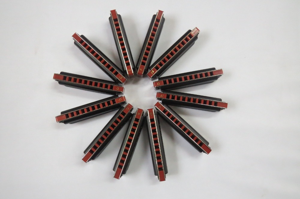 EASTTOP  blues harp mouth orga - Harmonica 10 Hole 리뷰 및 가격