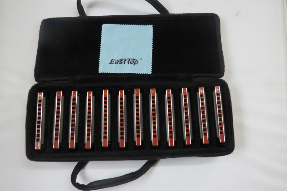 EASTTOP  blues harp mouth orga - Harmonica 10 Hole 리뷰 및 가격