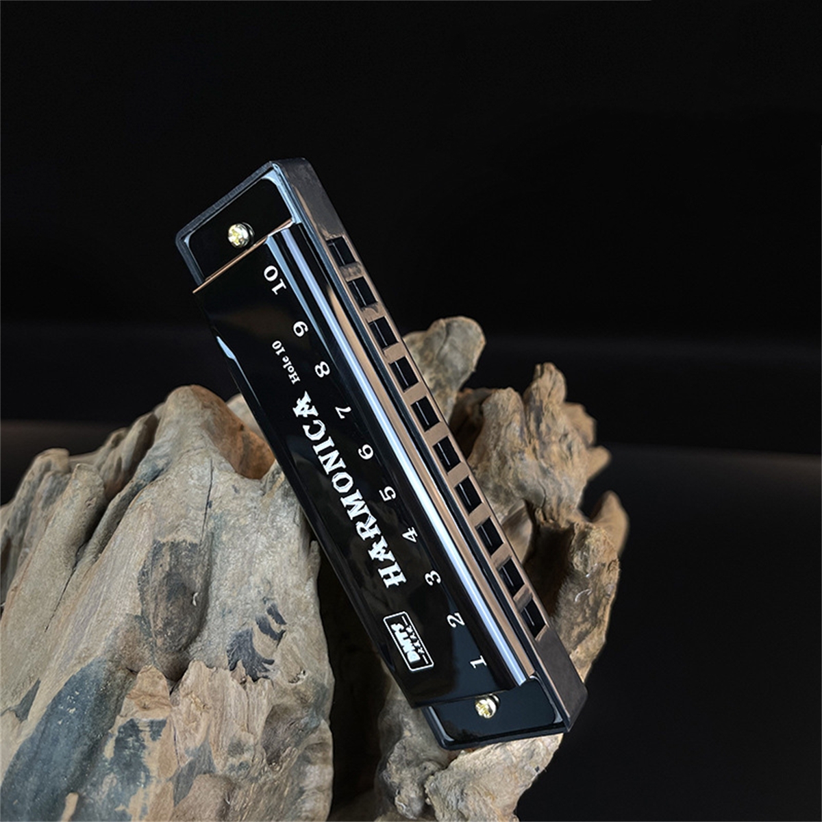 Harmonica Key of C 10 Hole Dia - Harmonica 10 Hole 리뷰 및 가격